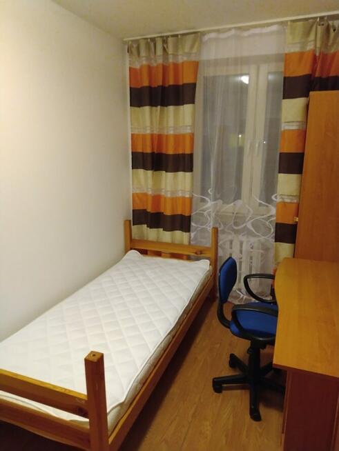 Zana 50, LSM, pokój, blisko uczelni, z Wi-Fi
