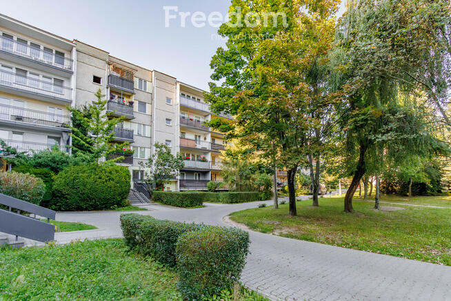 3-pokojowe mieszkanie po remoncie os. Legionów H.D