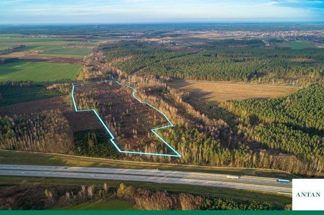 Działka inwestycyjna Strzelno gm. Pieńsk, Zgorzelecka
