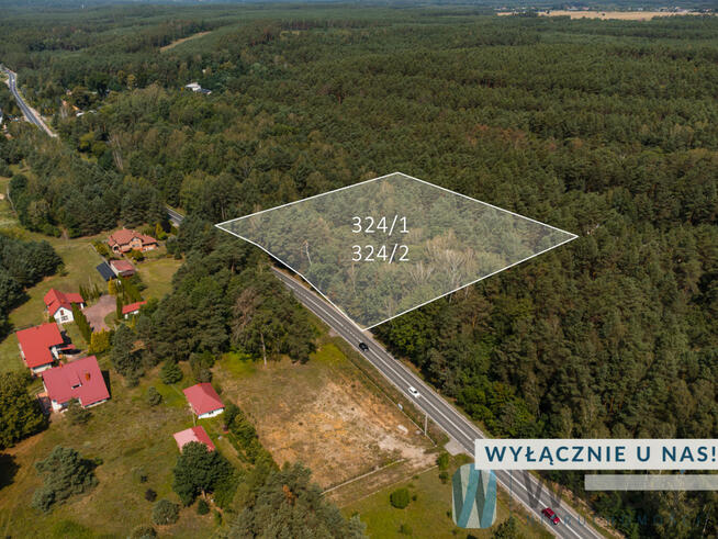 Działka leśna Inowłódz,
