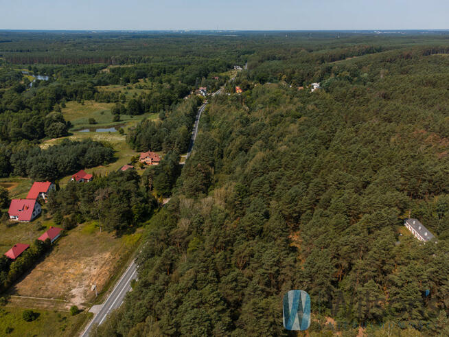 Działka leśna Inowłódz,