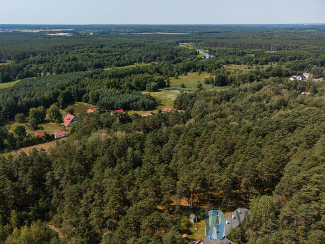Działka leśna Inowłódz,
