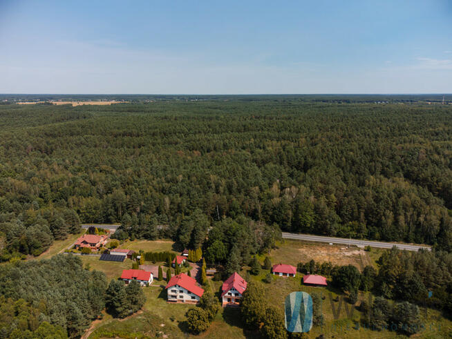 Działka leśna Inowłódz,