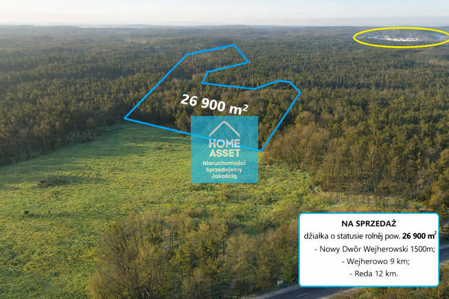 Działka rolna z lasem 2,69 ha | Bieszkowice