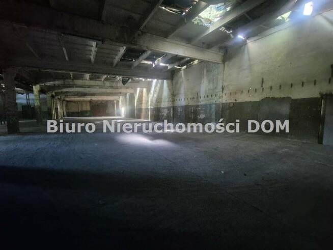 Lokal użytkowy Poraj
