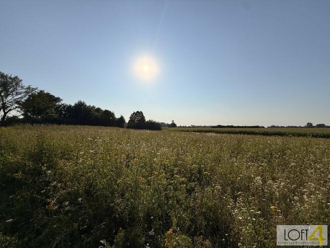 Działka rolna Mędrzechów