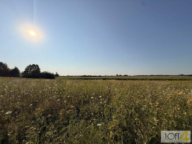 Działka rolna Mędrzechów