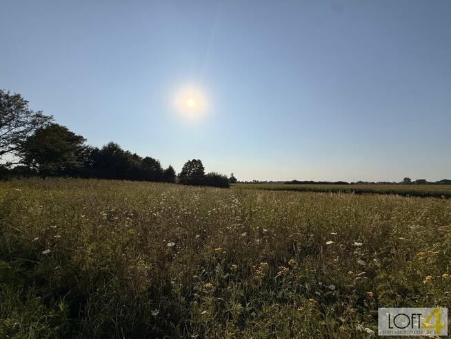 Działka rolna Mędrzechów