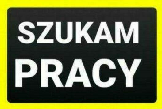 Szukam pracy !