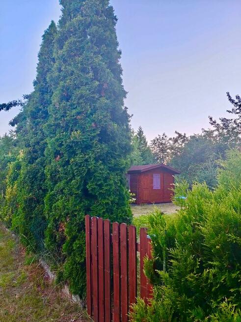 Sprzedam działkę ROD