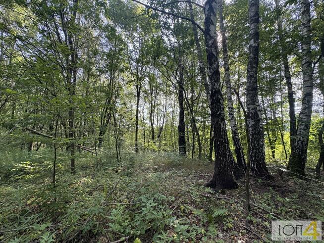 Działka budowlana Radlna gm. Tarnów