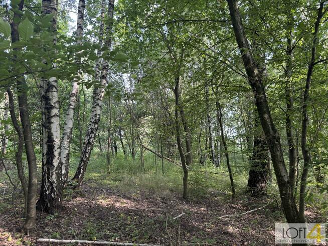 Działka budowlana Radlna gm. Tarnów