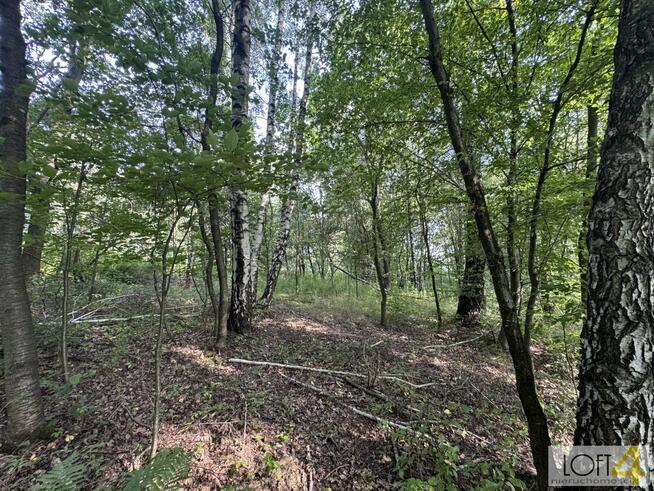 Działka budowlana Radlna gm. Tarnów