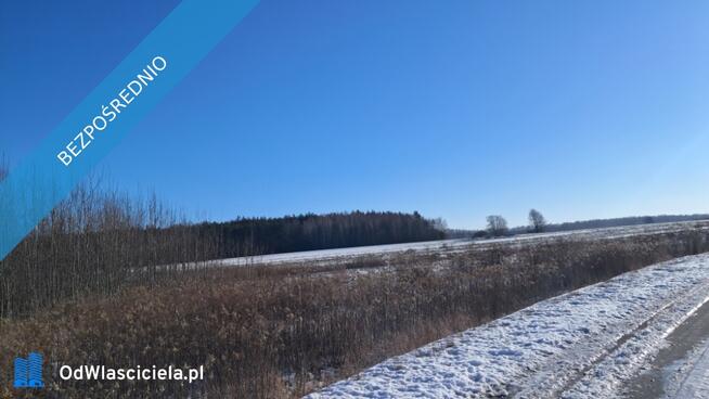 Syndyk sprzeda udziały w prawie własności niezabudowanych nieruchomości gruntowych – Nowe Iganie, dz