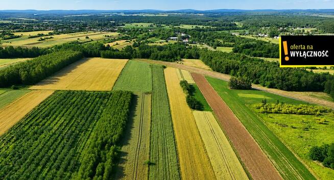 Działka budowlana Niemścice gm. Staszów,