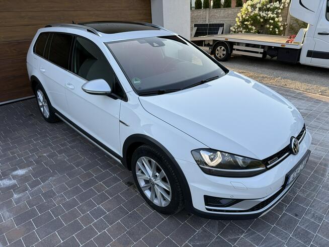 Volkswagen Golf Alltrack 16r. 2.0tdi DSG 184KM panorama masaże kamera skóry automatyczny hak