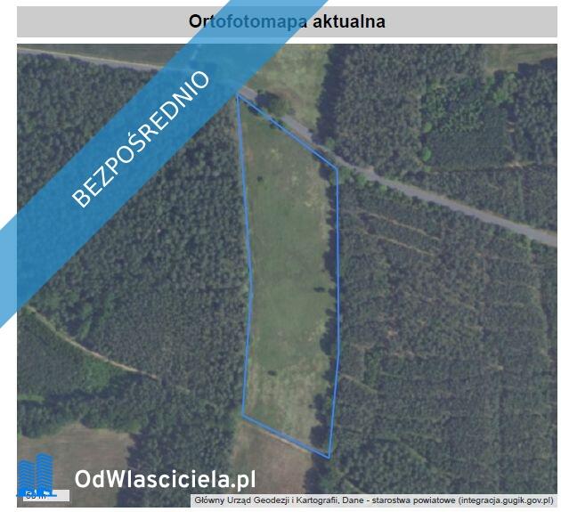 Działka inwestycyjna przy Strefie Aktywności Gospodarczej