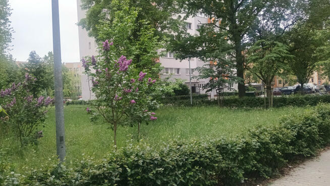 Mieszkanie Warszawa gm. Bielany Bielany, Przy Agorze