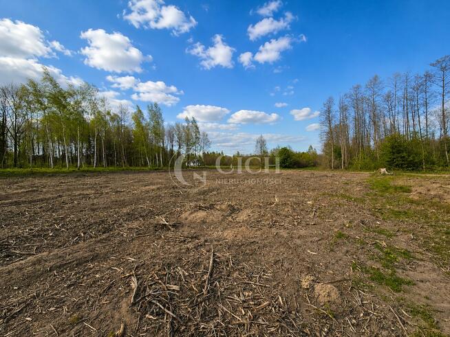 Działka rolna Wola Radłowska gm. Radłów, Wola Radlowska
