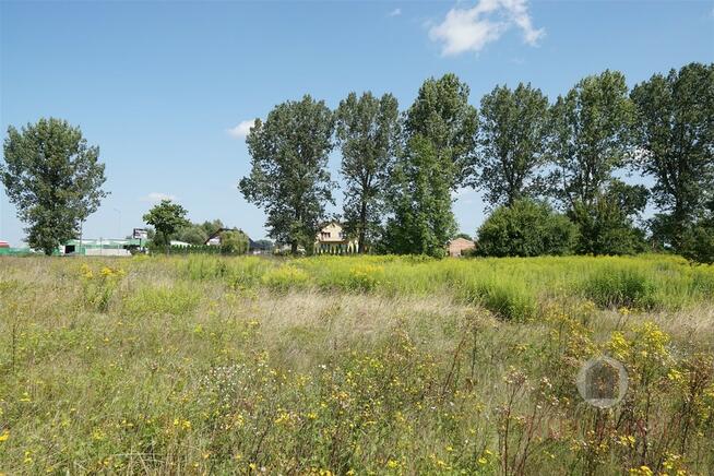 3 WZ: handlowa, usługowa, mieszkaniowa