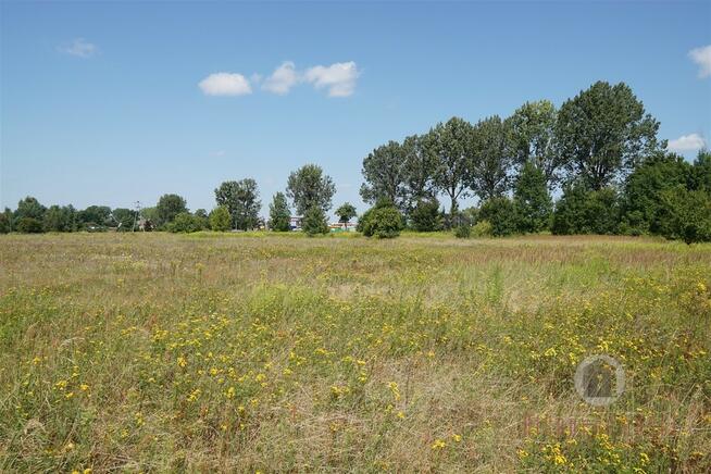 3 WZ: handlowa, usługowa, mieszkaniowa