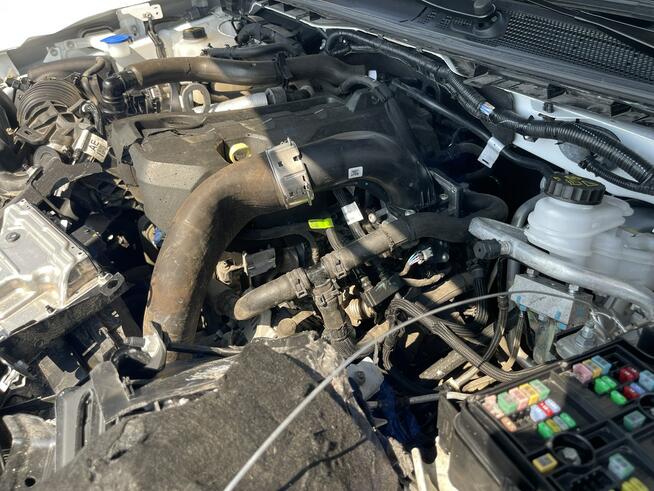 Volkswagen Amarok Salon PL 4Motion Klimatronik Podgrz. Hak