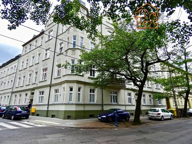 Śląska 4, Okole, przyjazne zwierzętom studio