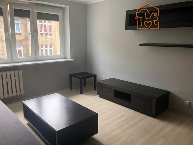 2 pokoje, piwnica, pet-friendly - Wybickiego 4