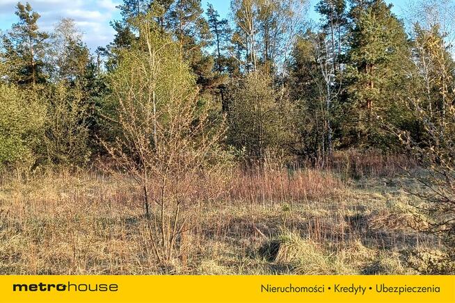 DUŻY TEREN INWESTYCYJNY 6800 m² CHOSZCZÓWKA