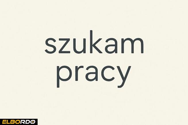 szukam pracy