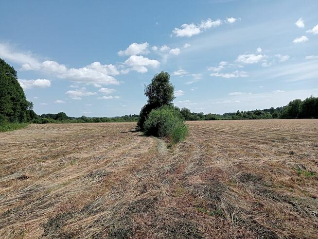 łąka 5,32ha na sprzedaż