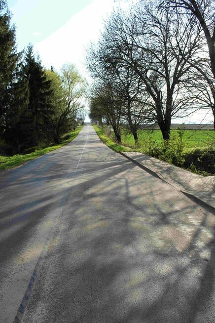 Duży potencjał skali! Budynek komercyjny i sąsiednia działka