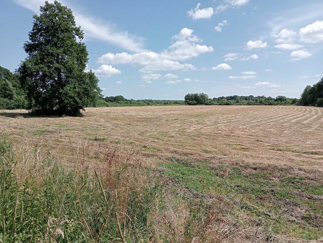 łąka 5,32ha na sprzedaż