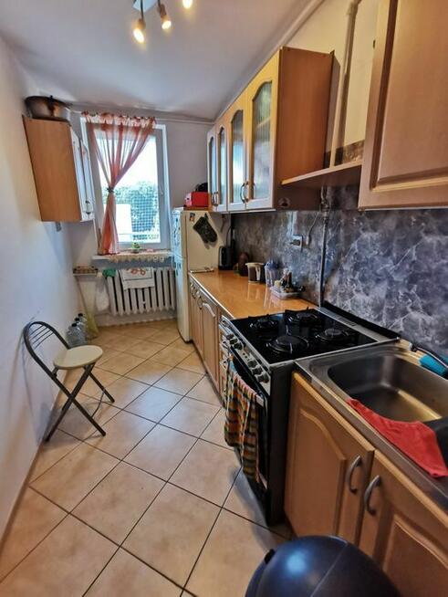 Miechowice 48 m, 2 pokoje, balkon, inwestycja, wynajęte.