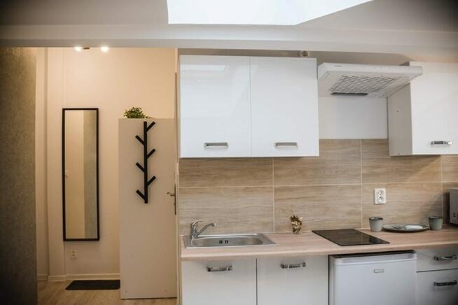 Więckowskiego 40, Polesie, studio pet friendly