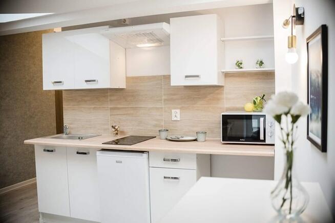 Więckowskiego 40, Polesie, studio pet friendly