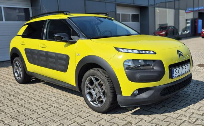 C4 Cactus - Bezwypadkowy - Polska - Nawigacja