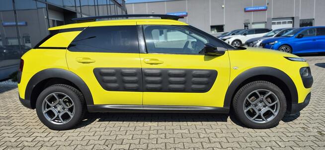 C4 Cactus - Bezwypadkowy - Polska - Nawigacja