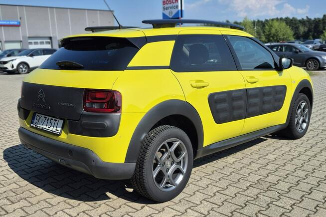 C4 Cactus - Bezwypadkowy - Polska - Nawigacja