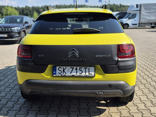C4 Cactus - Bezwypadkowy - Polska - Nawigacja
