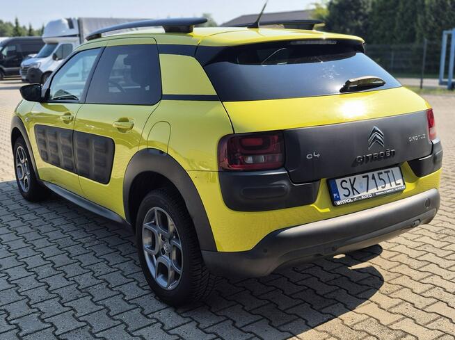 C4 Cactus - Bezwypadkowy - Polska - Nawigacja