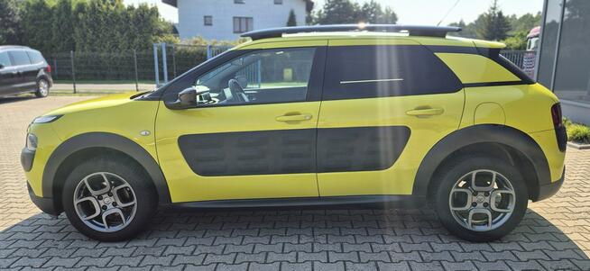 C4 Cactus - Bezwypadkowy - Polska - Nawigacja