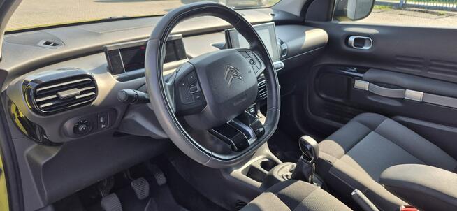 C4 Cactus - Bezwypadkowy - Polska - Nawigacja