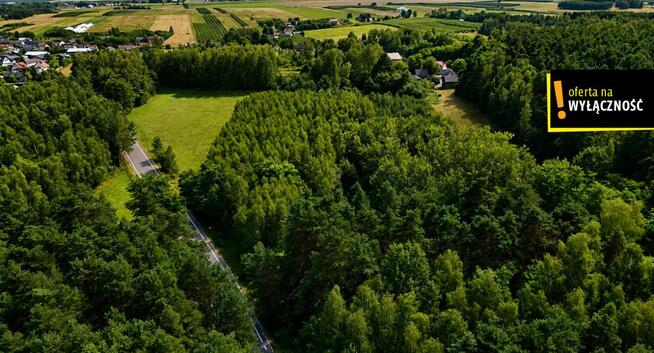 Działka rolna Korytnica gm. Szydłów,