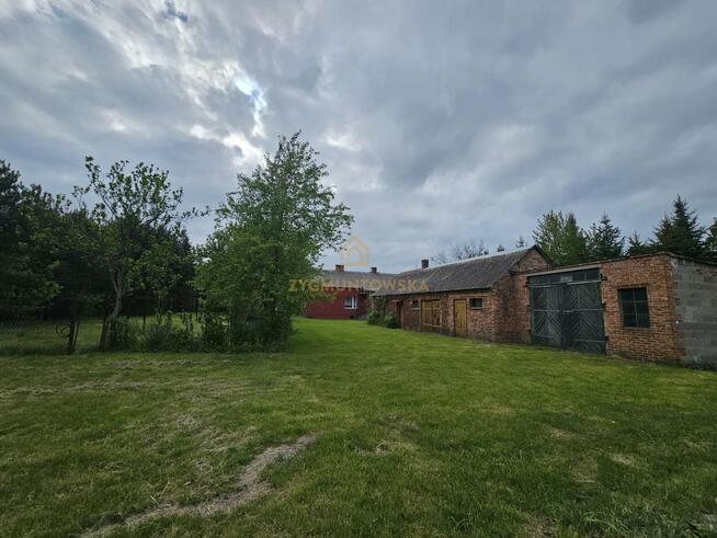 Dom Białaczów Petrykozy