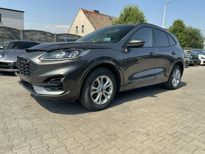 Ford Kuga ST Line Hybryda Plug IN Automat Skóra Podgrzewanie 225KM