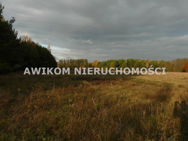 Działka rekreacyjna Puszcza Mariańska