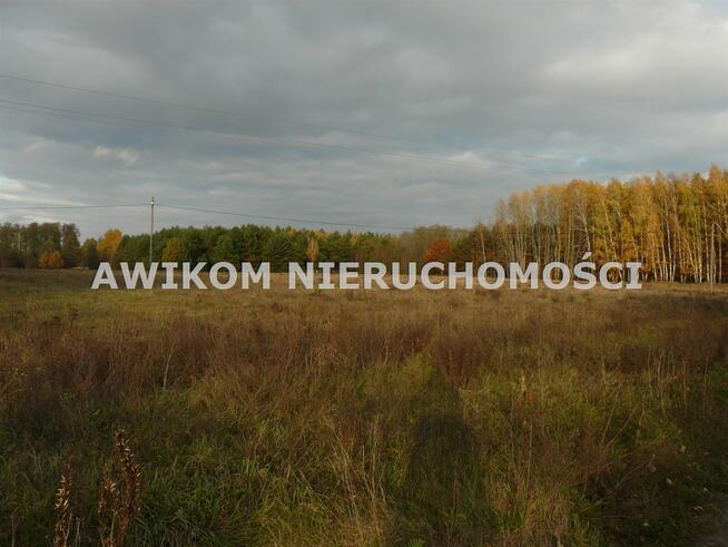 Działka rekreacyjna Puszcza Mariańska