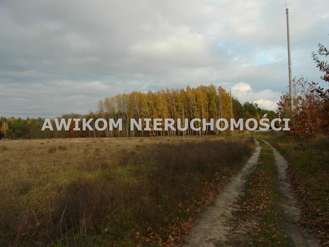 Działka rekreacyjna Puszcza Mariańska