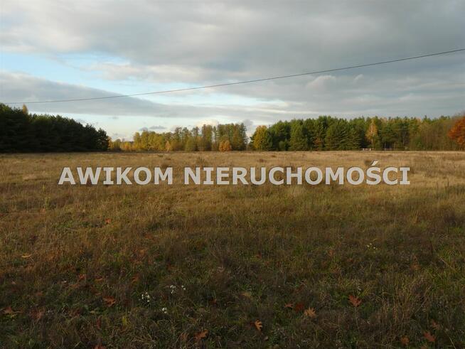 Działka rekreacyjna Puszcza Mariańska